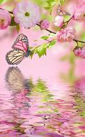 Pink Flowers Live Wallpaper screenshot 2