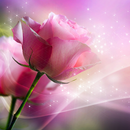 Pink Roses Live Wallpaper APK