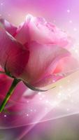 Pink Roses Live Wallpaper Plakat