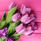 Pink Tulips Live Wallpaper icon