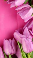 Pink Tulips Live Wallpaper screenshot 2