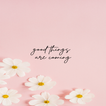 Pink Wallpaper icon