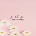 Pink Wallpaper