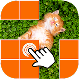 ”What's picture behind cell