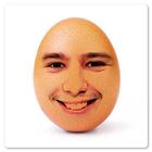 ikon Face on Egg ( World Record Egg )