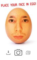 Face on Egg ( World Record Egg ) poster