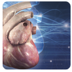 3D Cardiology Small animals