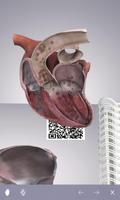 Cardiología 3D capture d'écran 2