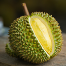 Durian treee 2989 supper 21 APK