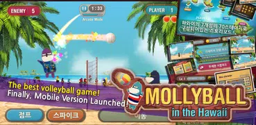 MollyBall(free)