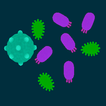 Virus Attack icon