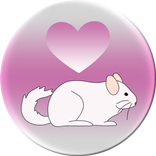 Chinchilla Calculator