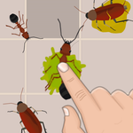 Bug Smash: Ant Smasher icon