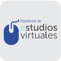 ”Plataforma de Estudios Virtuales