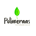 Polimeraas