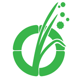 Pollen Wise icon