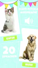 Baby lernt sprechen Lernspiel XAPK Herunterladen