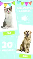 Baby’s First Words XAPK download