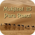 Mukjizat 25 Nabi & Rasul ไอคอน