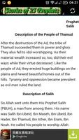 The Stories Of All Prophets poster