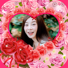 Beautiful Roses Photo ikona