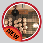 Practical egg incubator icon