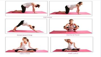 Pregnancy Workouts poster