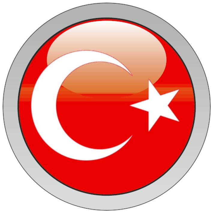 Turkey games. Button from Turkey.