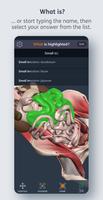 Primal’s 3D Human Anatomy Quiz syot layar 1