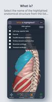 Primal’s 3D Human Anatomy Quiz syot layar 2