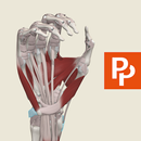 Primal's Functional Anatomy APK