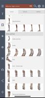 Primal's 3D Leg, Ankle & Foot screenshot 1