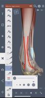 Primal's 3D Leg, Ankle & Foot screenshot 2