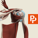 Primal's 3D Shoulder & Arm APK