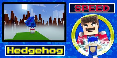 برنامه‌نما Hedgehog speed mod عکس از صفحه