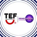 TEF VR APK