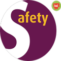 BSV Audit