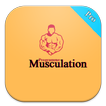 Top Programme Musculation