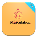 Top Programme Musculation APK