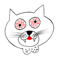 Stupid Cat