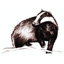 APK De Wildhoeve