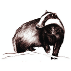 De Wildhoeve آئیکن
