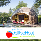 Delftse Hout icono