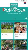 Ponderosa постер