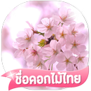เกมส์ทายชื่อดอกไม้ไทย 2566 APK