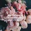 Arabic Quotes with English tra APK