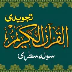 download Tajweed Quran e Pak 16 Lines XAPK