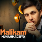 Muhammadziyo qo'shiqlari 2025 图标