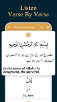Surah Yaseen Mp3 syot layar 1