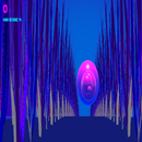 Big Racer APK